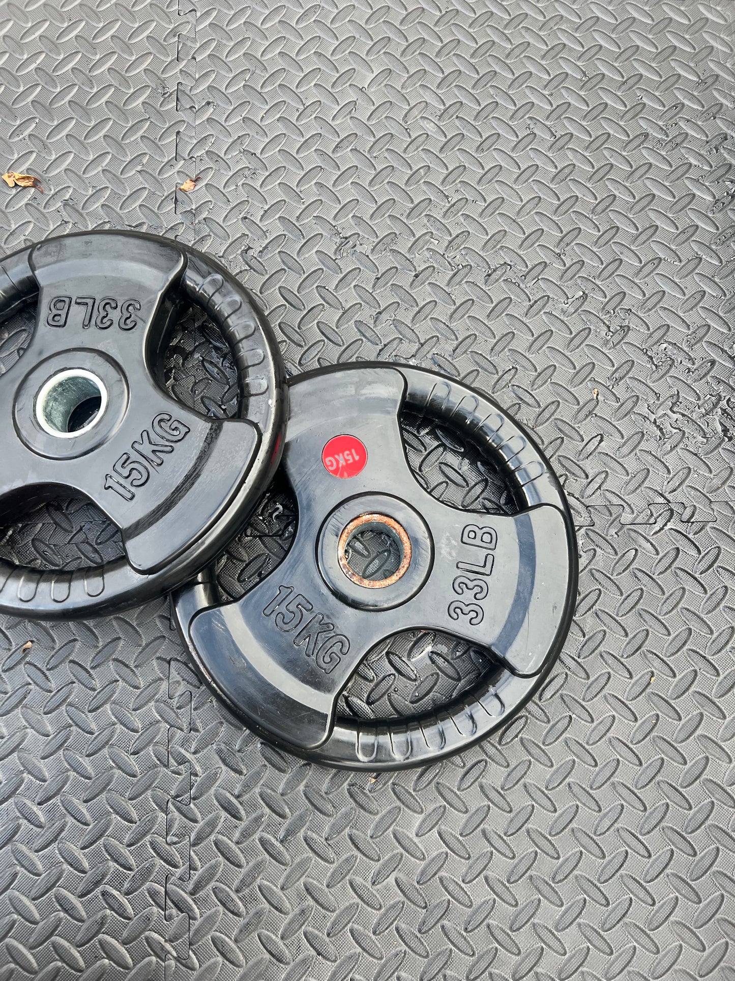 15kg Olympic Plates Pair