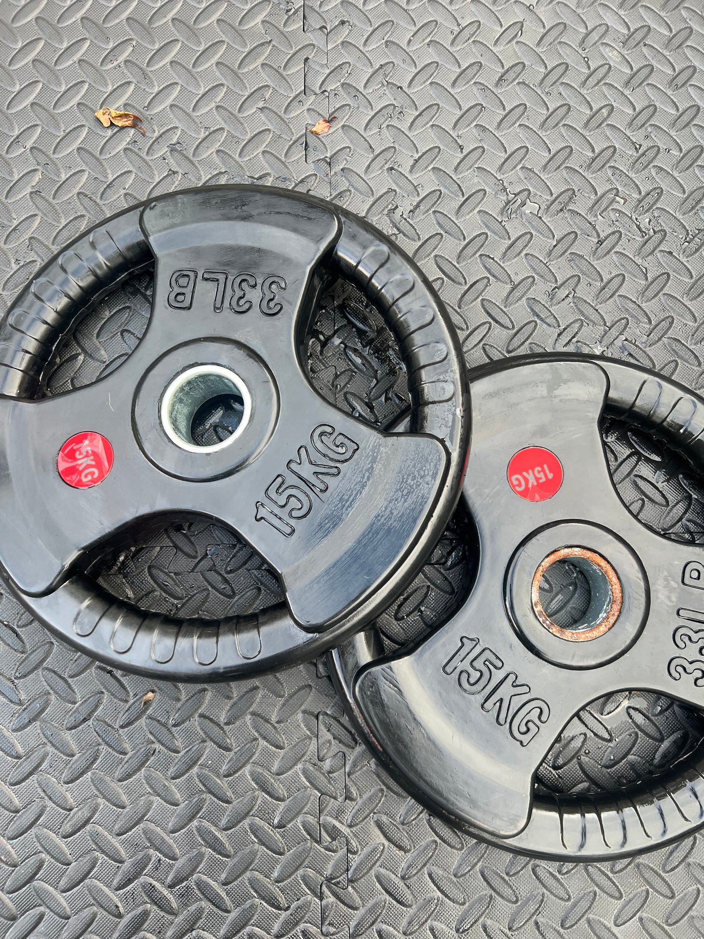 15kg Olympic Plates Pair